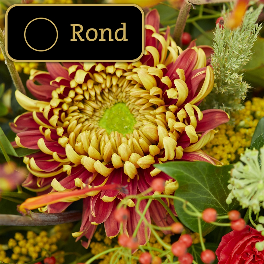 Avondzon